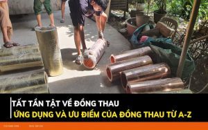 Tat-Tan-Tat-Ve-Dong-Thau-La-Gi-Ung-Dung-va-Uu-Diem-Cua-Dong-Thau-Tu-A-Z