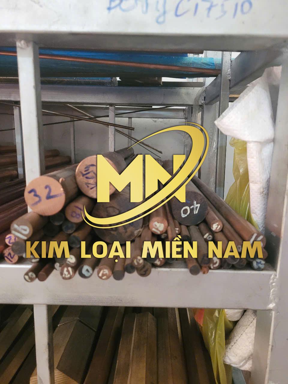 dong berili C17200 phi 12